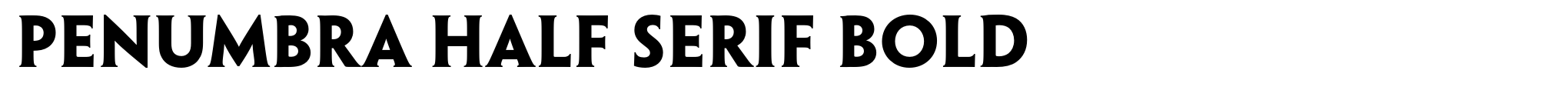 Penumbra Half Serif Bold image
